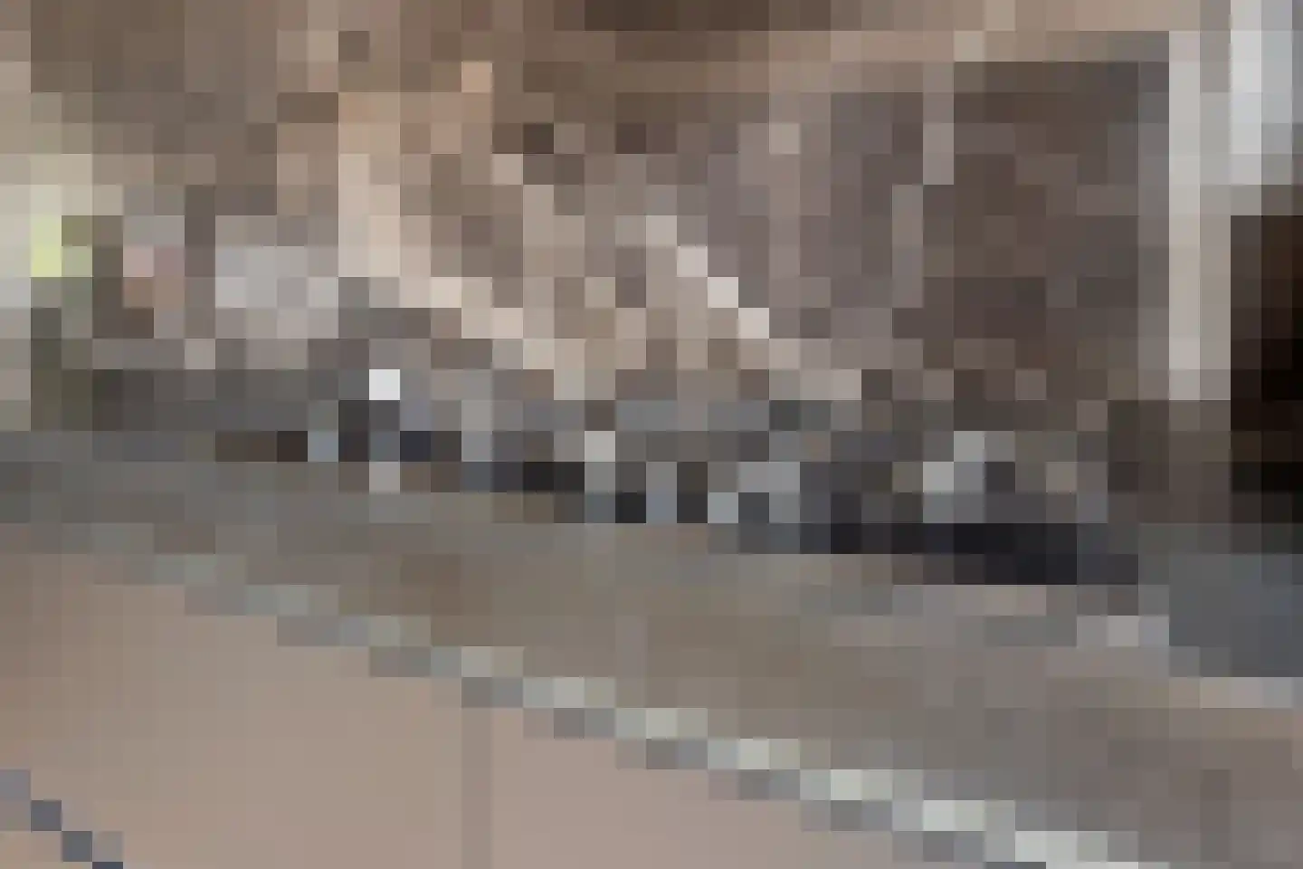 Land Kanaän 11 Zevenhuizen thumbnail 8