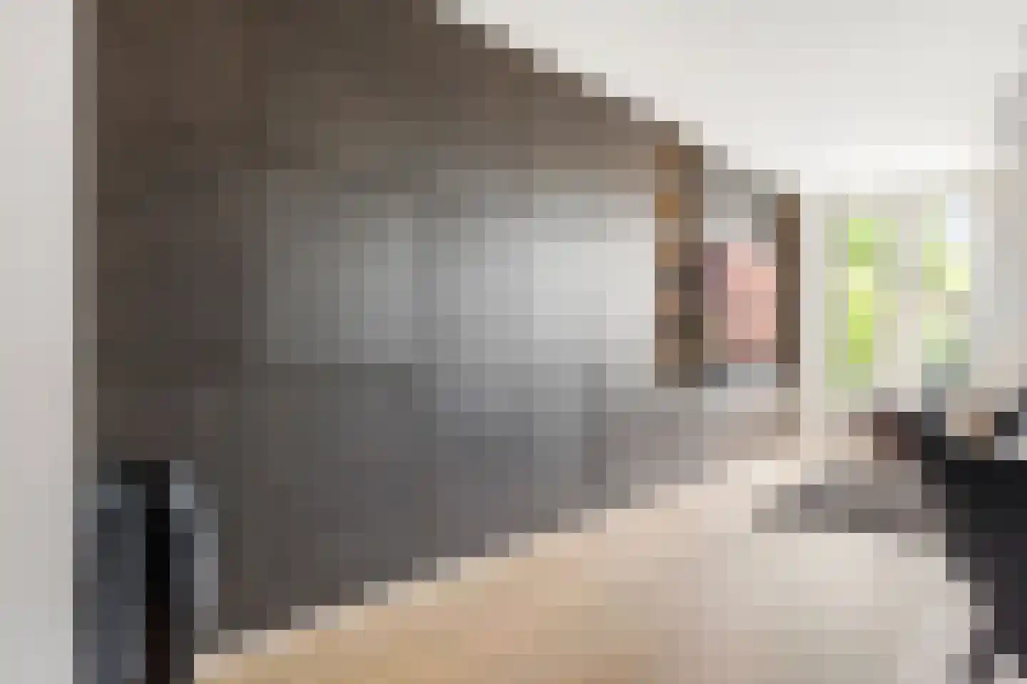 Land Kanaän 11 Zevenhuizen thumbnail 9