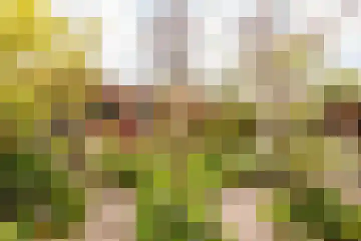 Land van Altena 16 Lelystad thumbnail 26