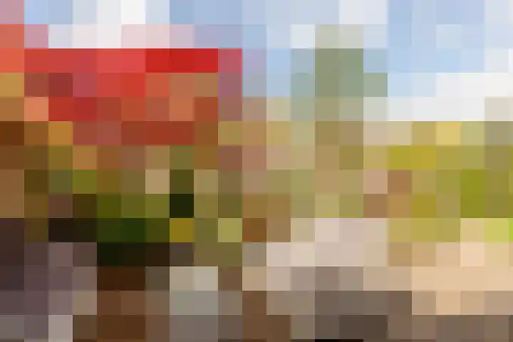Land van Altena 16 Lelystad thumbnail 29