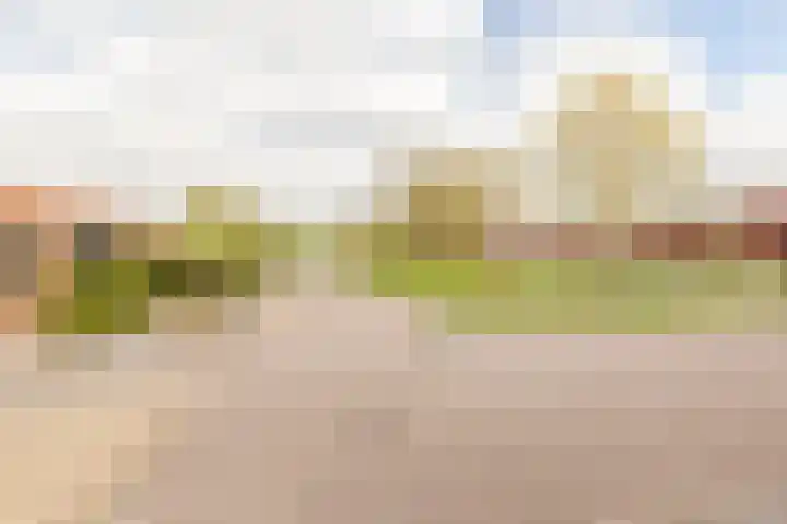 Land van Altena 16 Lelystad thumbnail 30