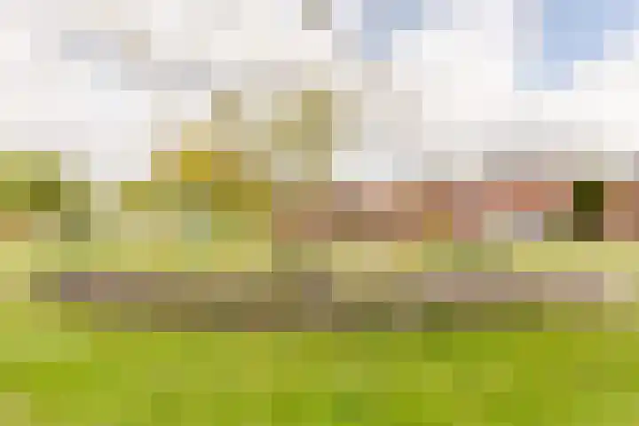 Land van Altena 16 Lelystad thumbnail 31