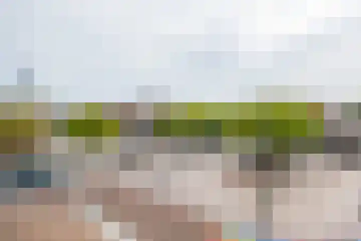 Land van Belofte 24 Schiedam thumbnail 26