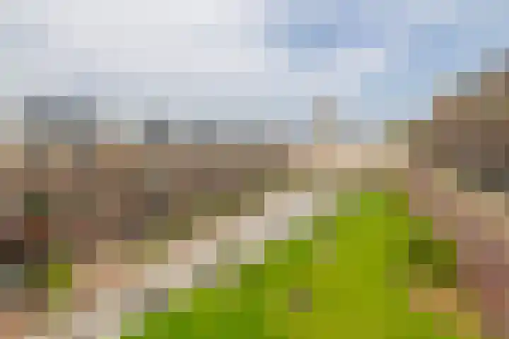 Land van Belofte 24 Schiedam thumbnail 27