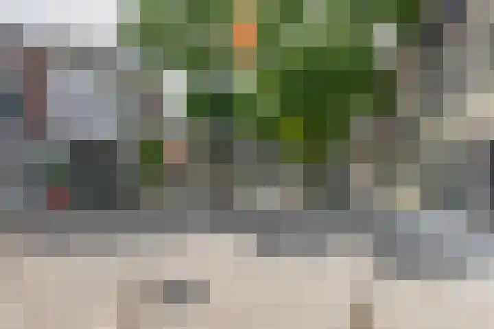 Land van Belofte 24 Schiedam thumbnail 37