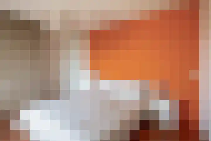 Land van Belofte 24 Schiedam thumbnail 4