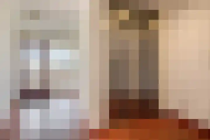 Land van Belofte 24 Schiedam thumbnail 7