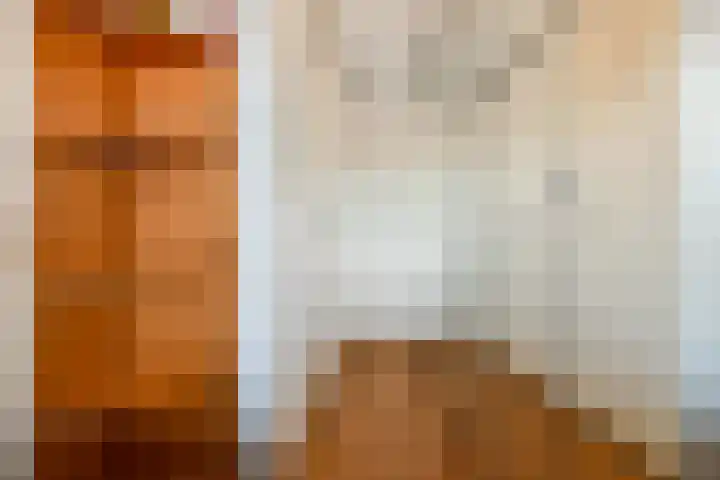 Land van Belofte 26 Schiedam thumbnail 24