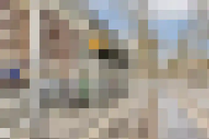 Land van Belofte 26 Schiedam thumbnail 32