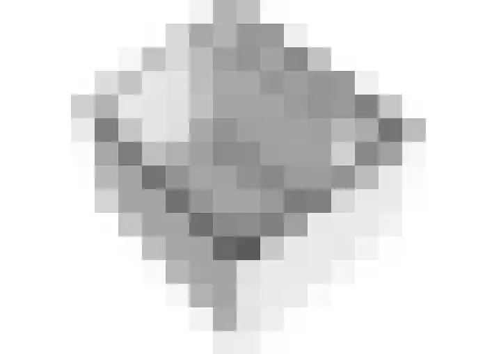 Land van Belofte 26 Schiedam thumbnail 39