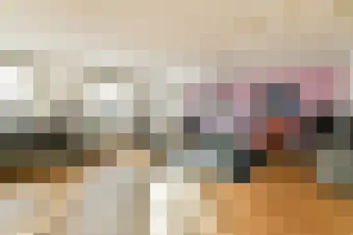 Land van Belofte 26 Schiedam thumbnail 6