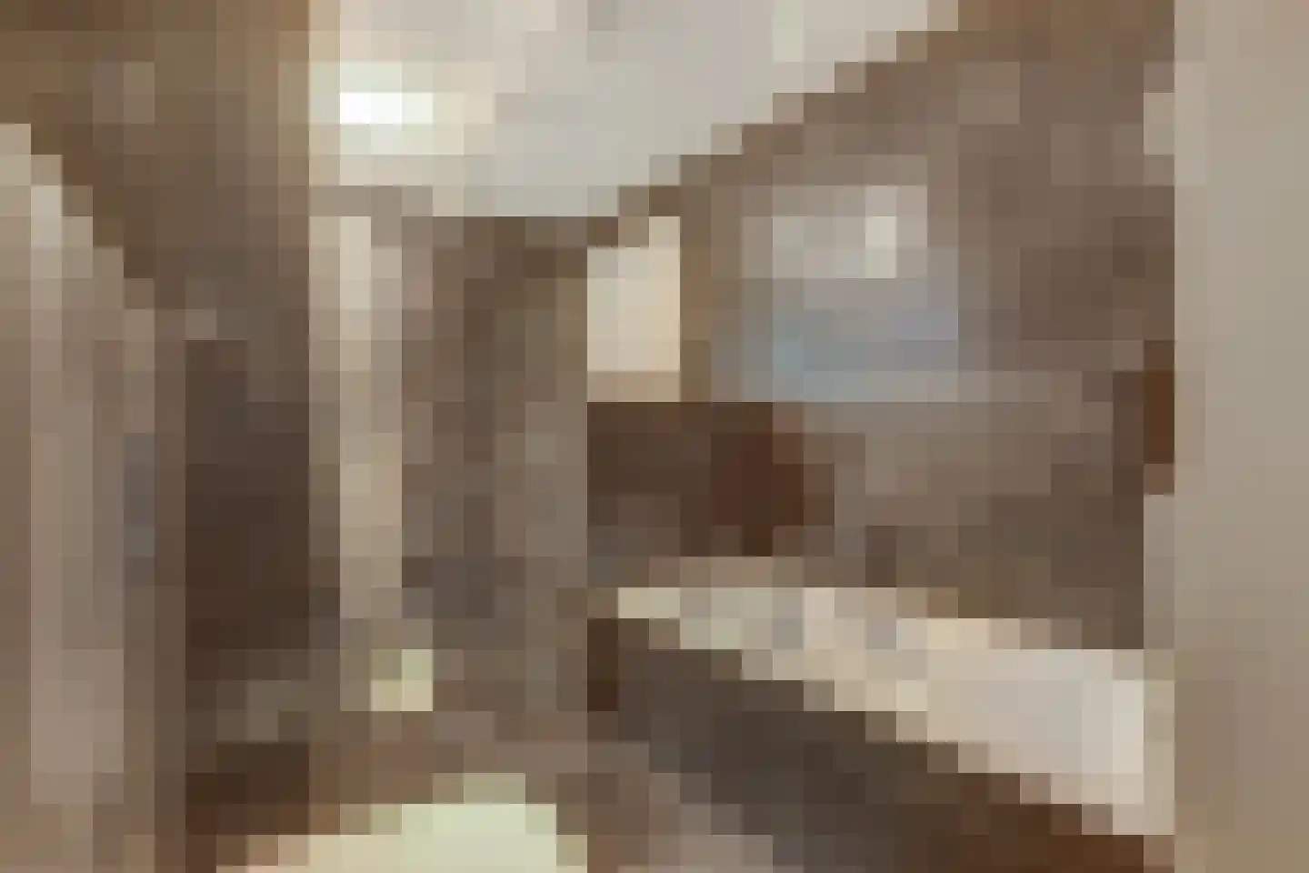 Land van Belofte 8 Schiedam thumbnail 24