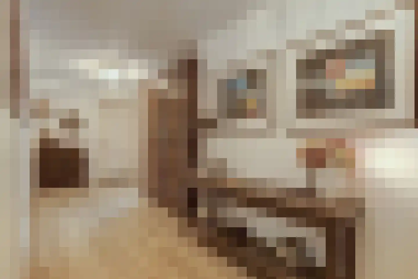 Land van Belofte 8 Schiedam thumbnail 30