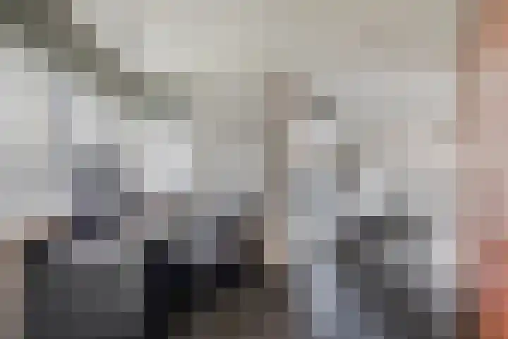 Land van Herve 2 Zwijndrecht thumbnail 27