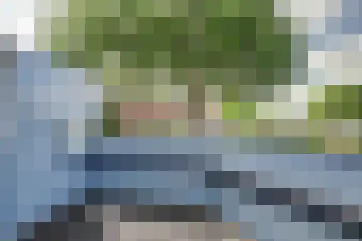 Land van Herve 2 Zwijndrecht thumbnail 28