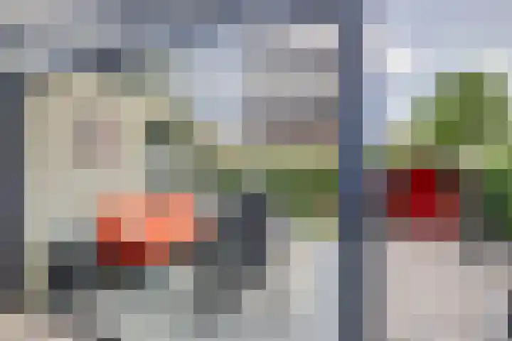 Land van Herve 2 Zwijndrecht thumbnail 33