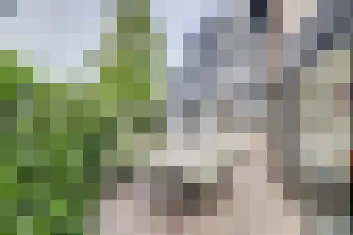 Land van Herve 2 Zwijndrecht thumbnail 37