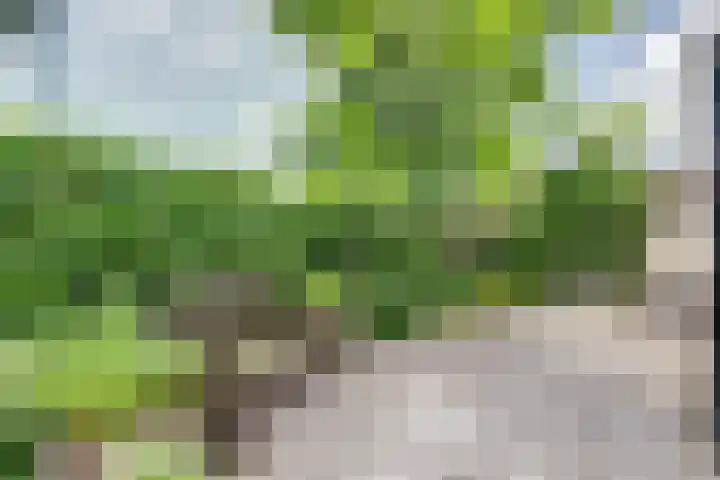 Land van Herve 2 Zwijndrecht thumbnail 38