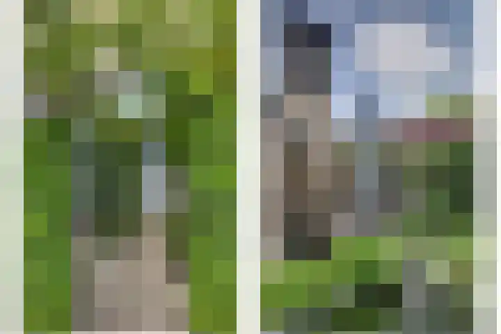Land van Herve 2 Zwijndrecht thumbnail 39