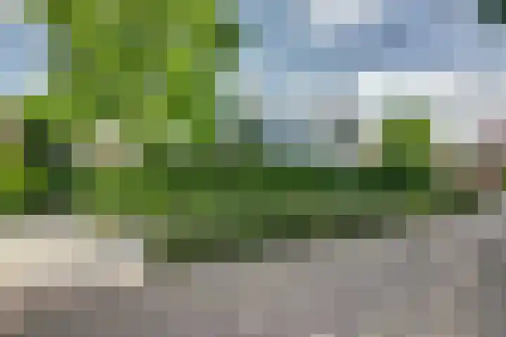 Land van Herve 2 Zwijndrecht thumbnail 43