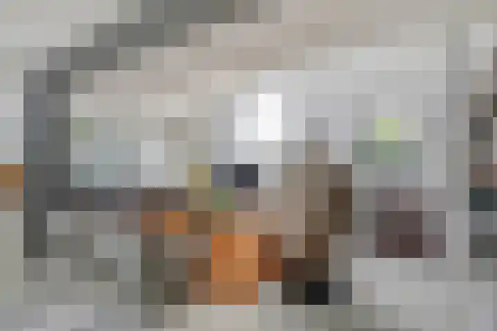 Land van Herve 2 Zwijndrecht thumbnail 7