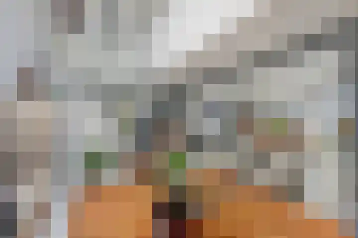 Land van Herve 2 Zwijndrecht thumbnail 8