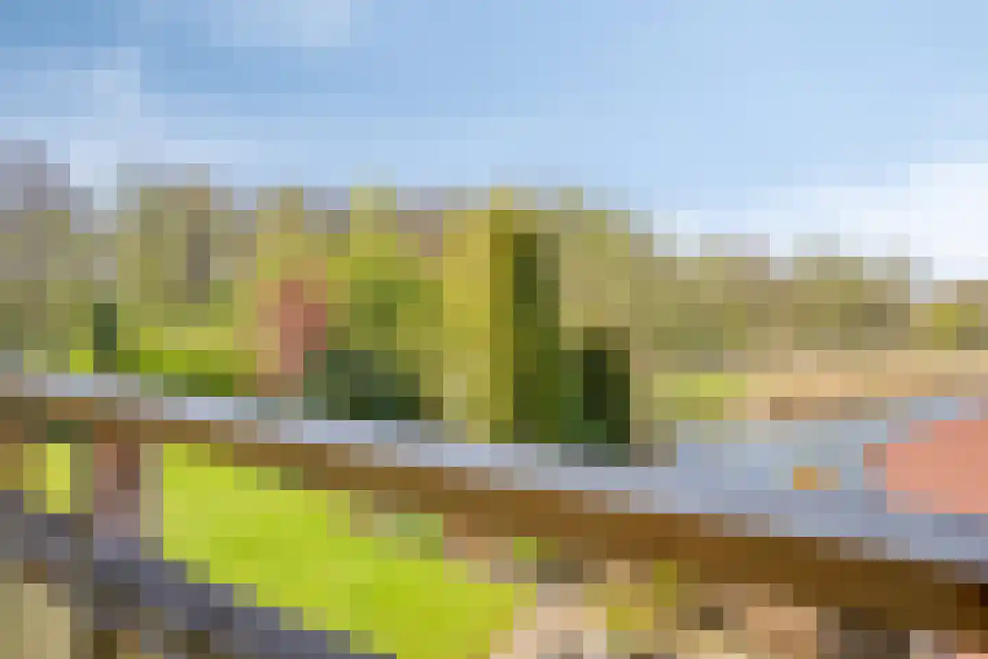 Land van Horn 6 Emmeloord thumbnail 38