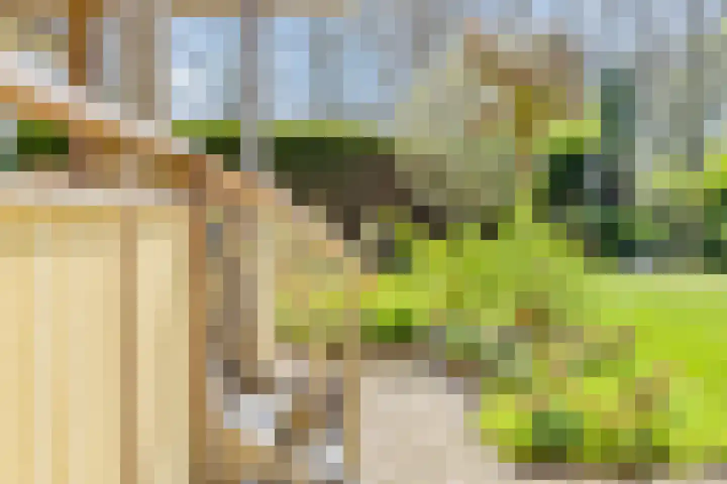 Land van Horn 6 Emmeloord thumbnail 56