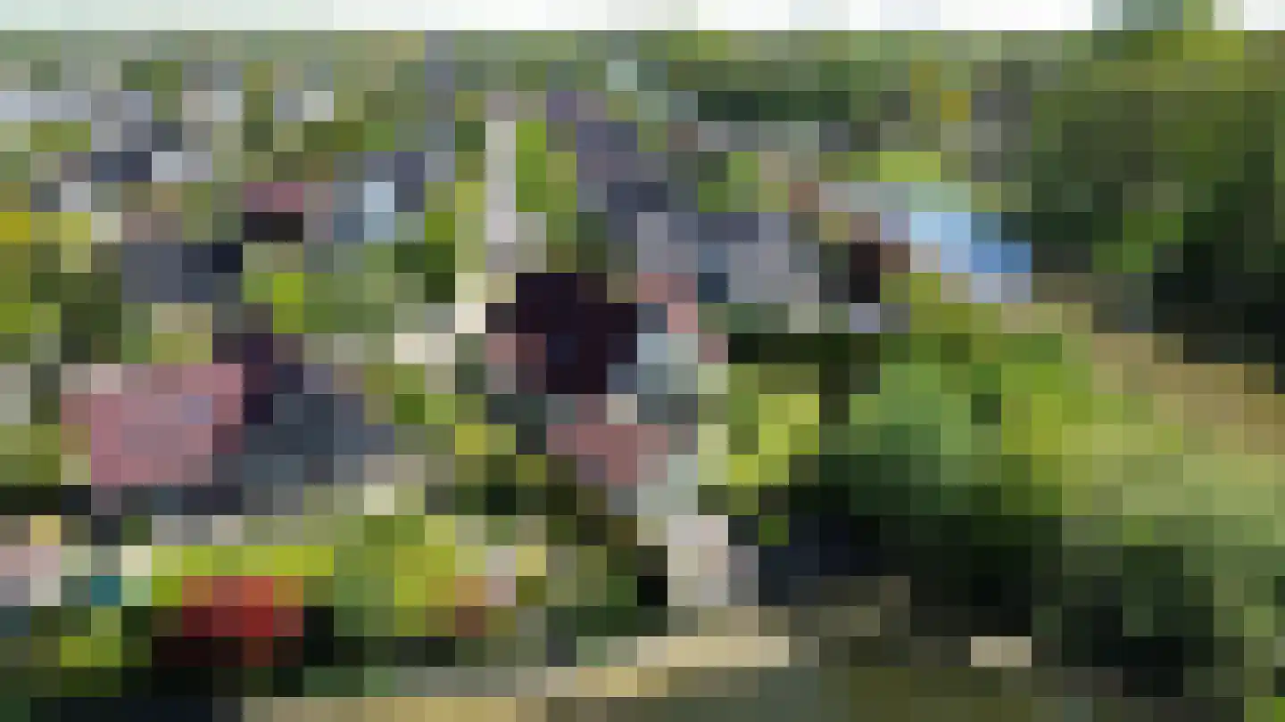 Land van Horn 6 Emmeloord thumbnail 72