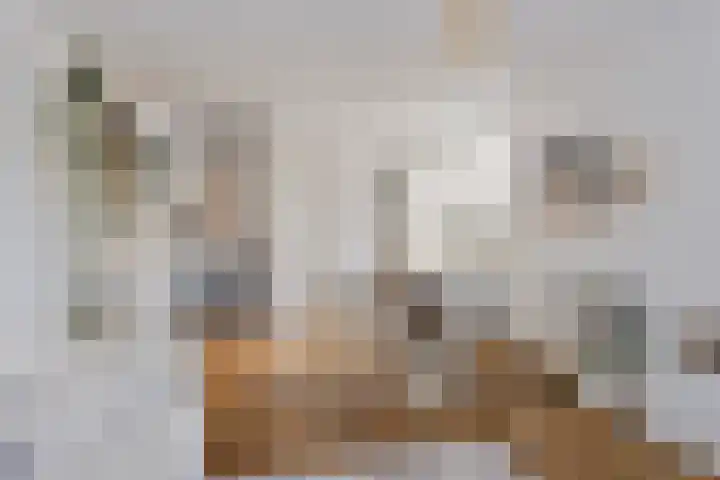 Land van Ravensteinstraat 52 A Uden thumbnail 13