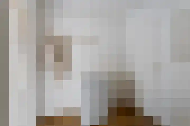 Land van Ravensteinstraat 52 A Uden thumbnail 18