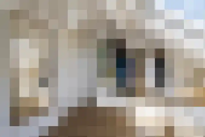Land van Ravensteinstraat 52 A Uden thumbnail 21