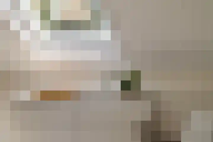 Land van Ravensteinstraat 52 A Uden thumbnail 22