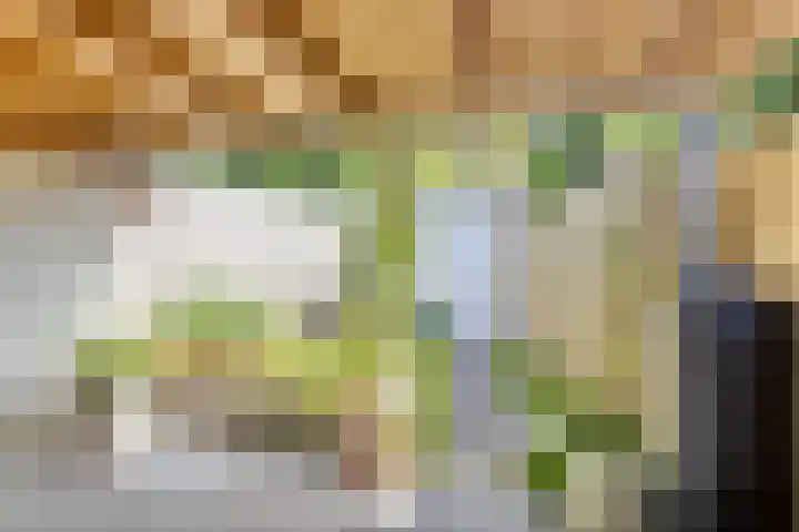 Land van Ravensteinstraat 52 A Uden thumbnail 28