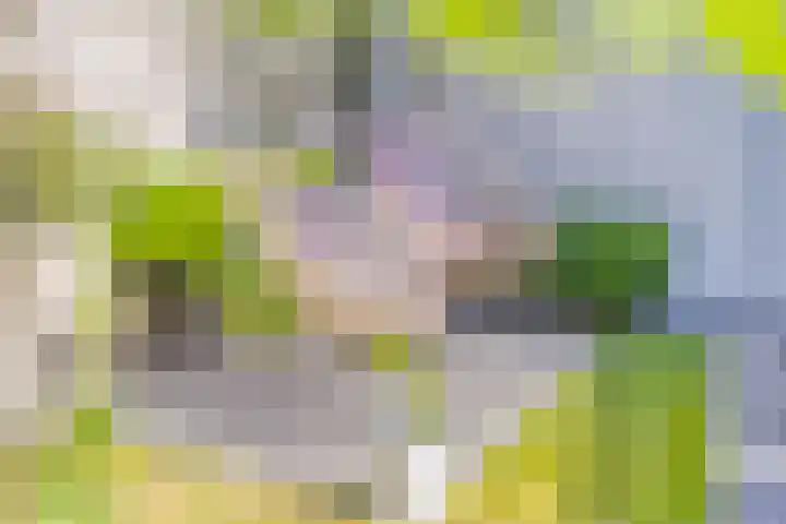 Land van Ravensteinstraat 52 A Uden thumbnail 31