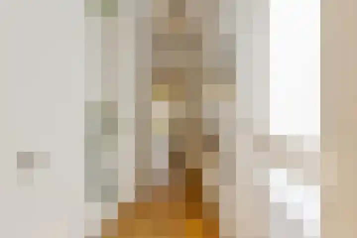 Land van Ravensteinstraat 52 A Uden thumbnail 6