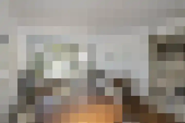 Land van Ravensteinstraat 52 A Uden thumbnail 8