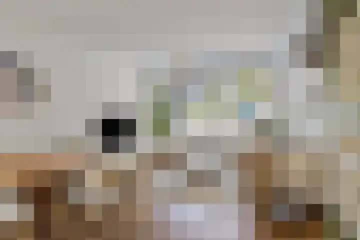 Land van Ravensteinstraat 52 A Uden thumbnail 9