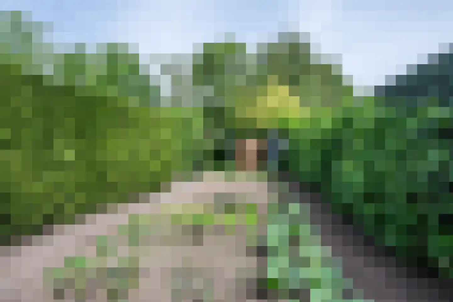 Land van Ravensteinstraat 54 Uden thumbnail 10