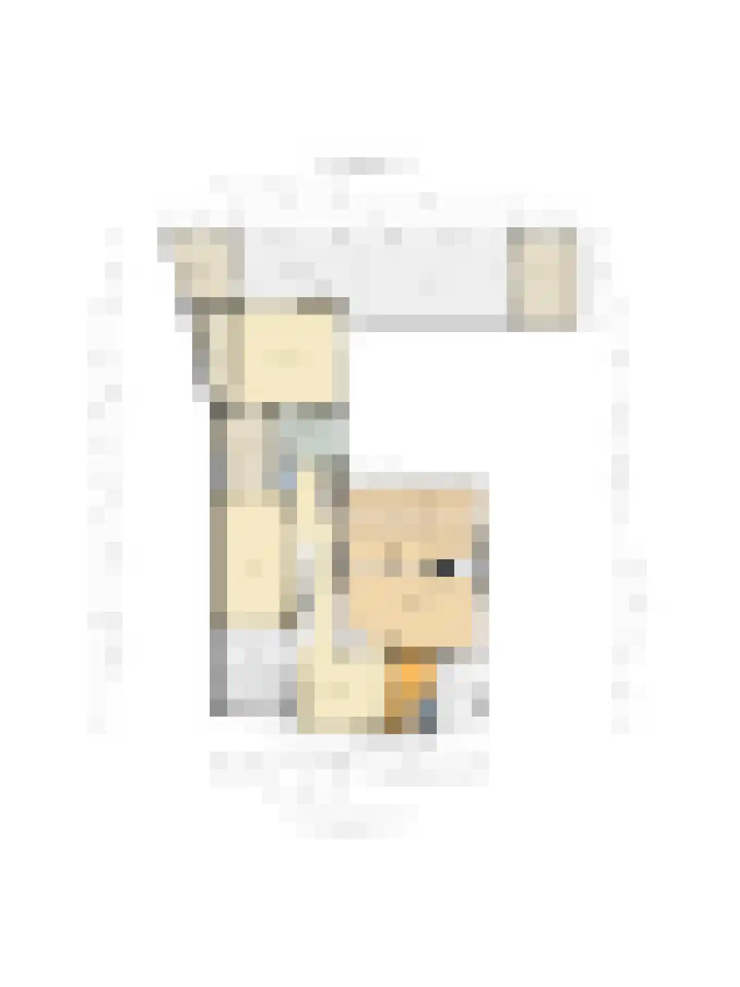Land van Ravensteinstraat 54 Uden thumbnail 26