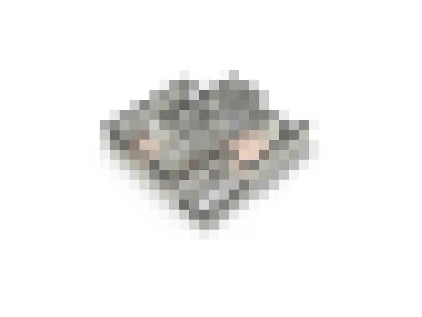 Land van Ravensteinstraat 54 Uden thumbnail 29
