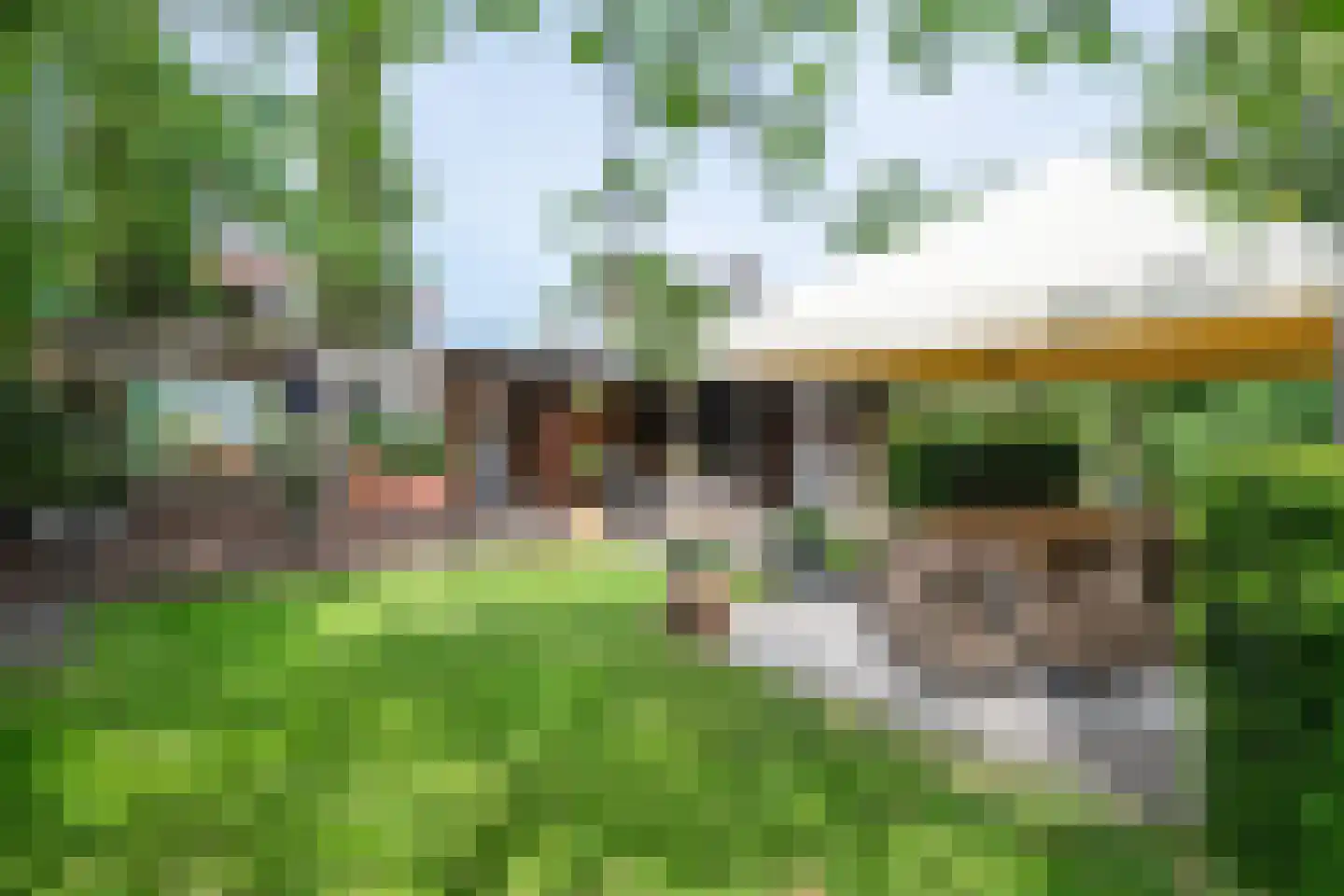 Land van Ravensteinstraat 54 Uden thumbnail 7