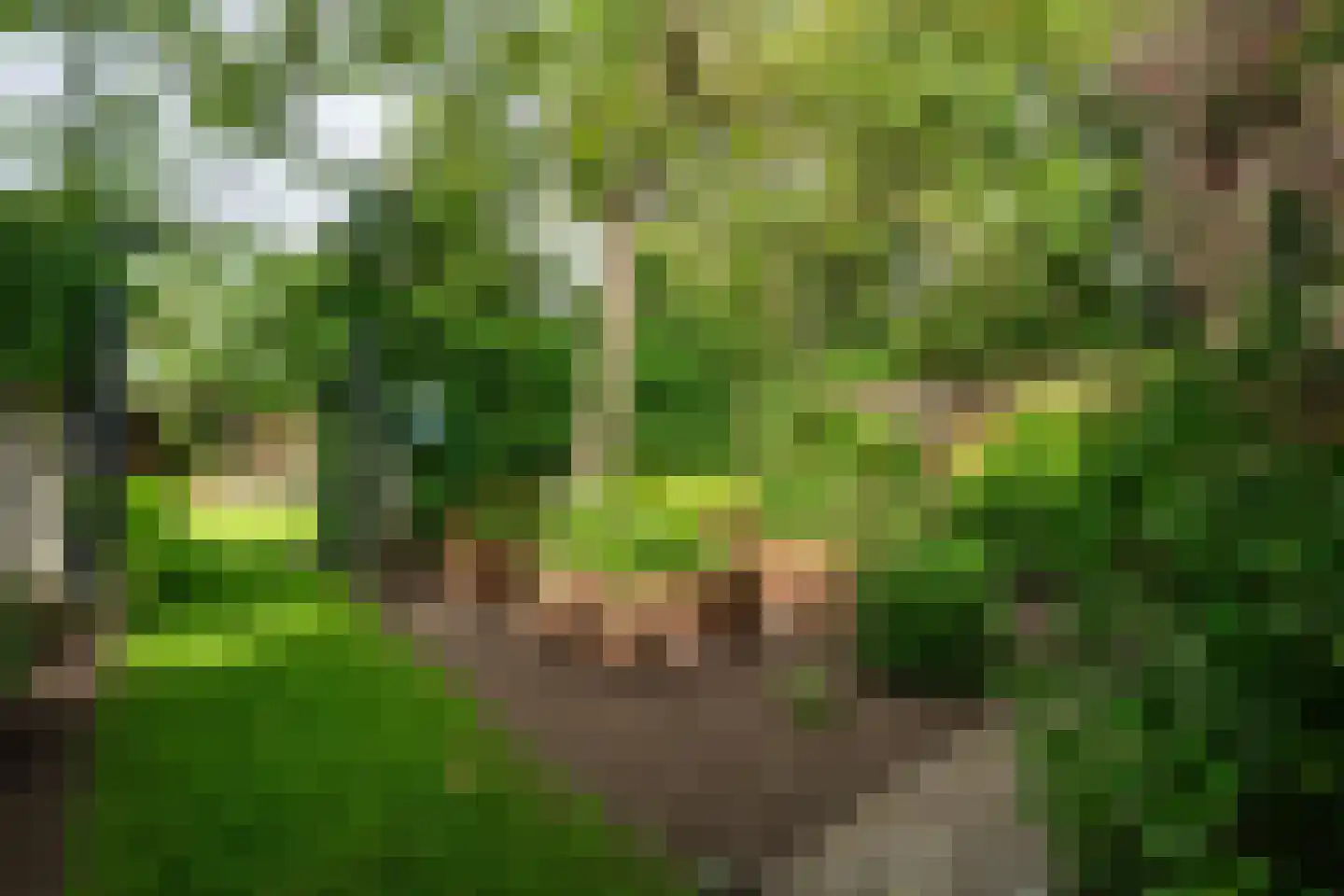 Land van Ravensteinstraat 54 Uden thumbnail 9