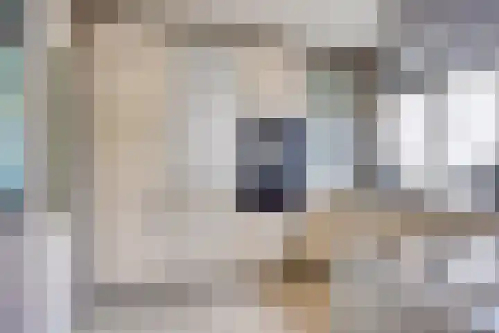Land van Ravensteinstraat 65 Uden thumbnail 10