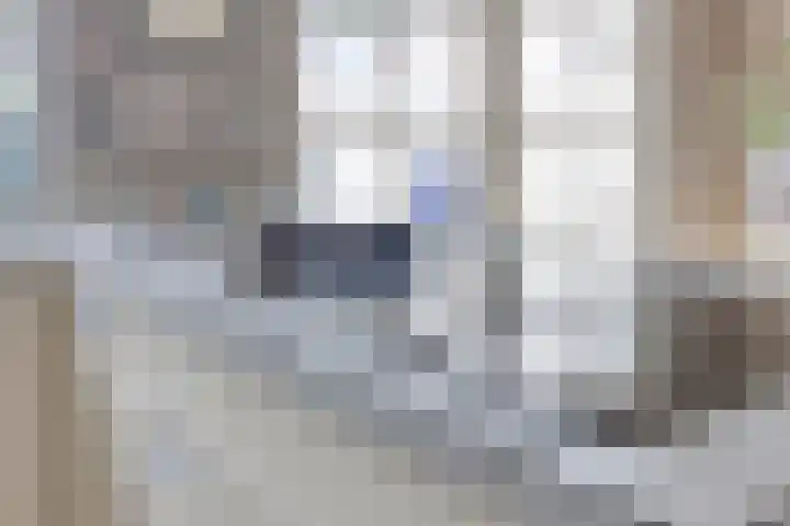 Land van Ravensteinstraat 65 Uden thumbnail 11