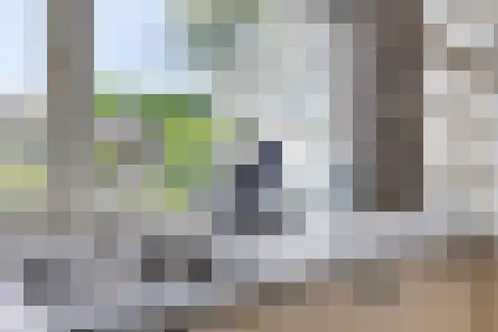 Land van Ravensteinstraat 65 Uden thumbnail 13
