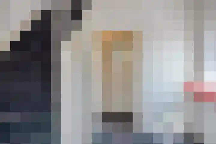 Land van Ravensteinstraat 65 Uden thumbnail 31