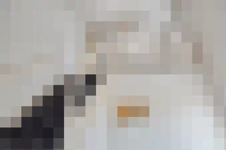 Land van Ravensteinstraat 65 Uden thumbnail 32