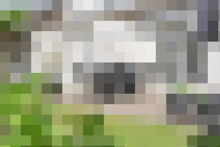 Land van Ravensteinstraat 65 Uden thumbnail 39