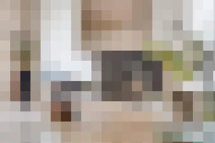 Land van Ravensteinstraat 65 Uden thumbnail 4